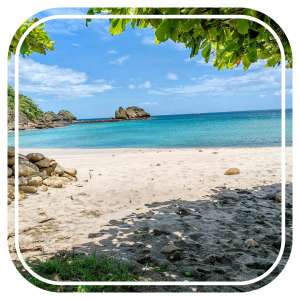 Beach Tour: Paradise Coastline Exploration